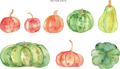 水彩画。水彩タッチの秋のカボチャベクターイラスト。カボチャのハロウィン水彩フレーム。Watercolor. Fall pumpkin vector illustration with watercolor touch. Pumpkin Halloween watercolor frame.