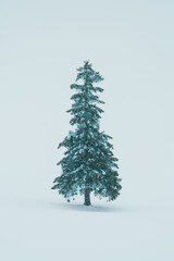 Beautiful Christmas tree with Snow in winter season at Biei Patchwork Road landmark and popular for...