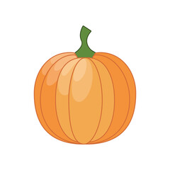 Pumpkin. A big ripe pumpkin. Vegetable garden. Vegetarian product. Vector illustration isolated on a white background