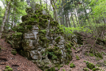 Obraz premium Felsenmeersteig Albstadt