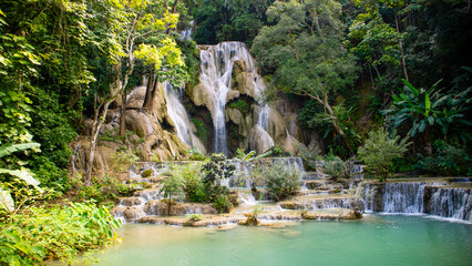 Fototapeta na wymiar waterfall, Tat Kuang Si Waterfall, Luang Prabang, Laos tourist attraction, nature ,a favourite side trip for tourists in Luang Prabang.