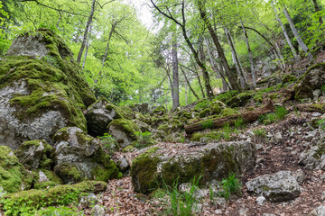 Felsenmeersteig Albstadt