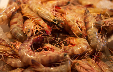 the prawns caught in the night