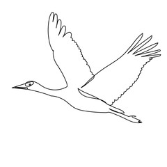 sketch of a flying crane on a white background vector