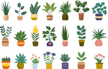set of potted plants on white background vector
