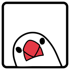 チラッと覗く白文鳥　黒枠