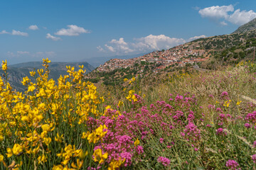 Obraz premium Mountain village of Arachova with colorful flowers in the foreground, Greece.