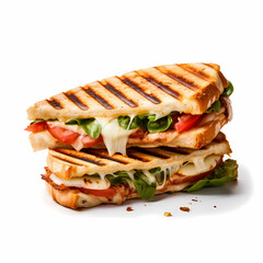 Panini isolated Generative AI