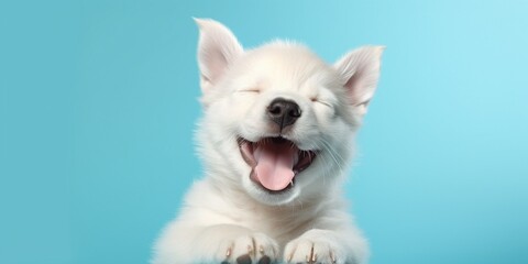 Fototapeta na wymiar Generative AI : Happy puppy dog smiling on isolated yellow background.