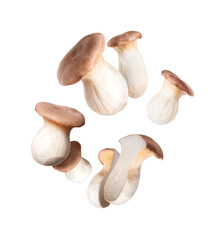 Royal oyster mushrooms (Pleurotus eryngii) in the air isolated on a white background