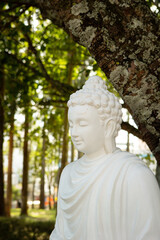 Outdoor Buddha statue, Vietnam travel	