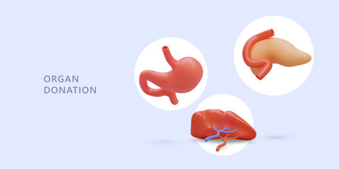 Transplantation, organ bank. Donation of internal organs. Concept with 3D stomach, pancreas, spleen. Modern surgery. Medical charity. Color banner for web design