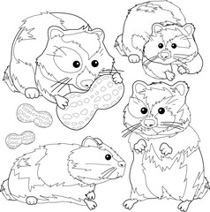 Hamster pets. Vector black and white coloring page.