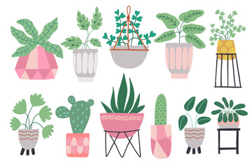 Set of different tropical house plant. Ficus, monstera, protea, pellaea, succulent in various pot, vase. Scandinavian cozy home decor. Flat vector cartoon illustration isolated on white background.