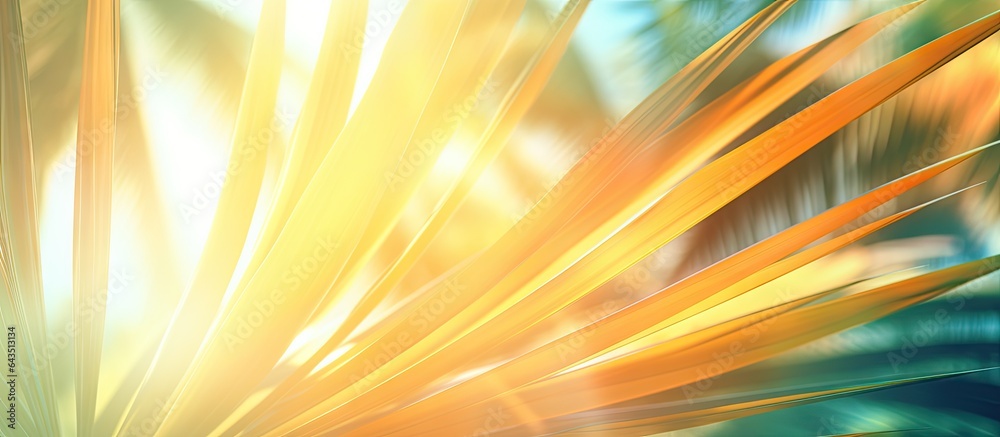 Poster Vintage concept business blog design templates with filtered effect Abstract palm tree in motion against sunlight background dynamic pattern and blurred leaves in the wind