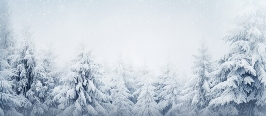 Winter forest with snow covered spruce branches during snowfall Outdoor nature background for Christmas card with space for text