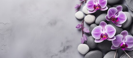 Spa themed flat lay with grey background featuring stones and violet orchid