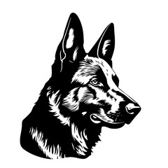 German shepherd vector