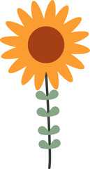 beautiful flower and leaf