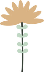 beautiful flower and leaf