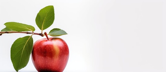 A red apple with a green leaf on its stem placed off center in a studio image with white background for text