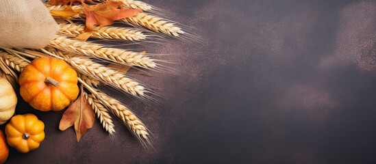 Thanksgiving or Halloween themed autumn composition with pumpkins leaves and wheat depicting festive decor Spacious flat lay with room for text