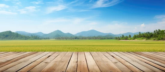 Fotobehang Wooden terrace with scarecrow partition and green rice fields in perspective against a blue sky Suitable for posters with copy space available © vxnaghiyev