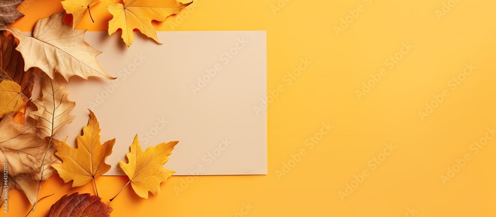 Aufkleber Top view of a craft sketchbook with fallen leaves on a colored background