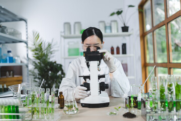 plant in medical pharmacy science research at chemical medicine laboratory for pharmaceutical...