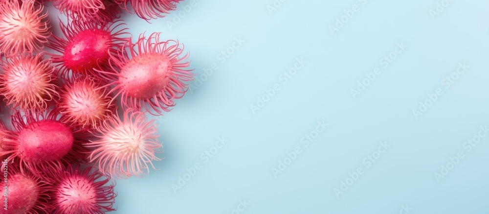 Aufkleber rambutan fruit falls on a colorful table seen from above minimalistic style