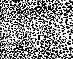 Leopard print pattern animal seamless black spots on a white background classic design.