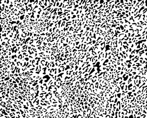 Fototapeta premium Leopard seamless pattern seamless for printing, cutting stickers, cover, wall stickers, home decorate and more. Leopard black spots on a white background classic design