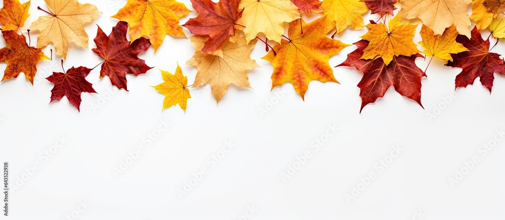 Wall mural top down view of white background with space for text featuring autumn maple leaves