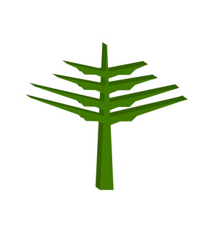 Araucaria icon. 3d Araucaria tree illustration vector.
