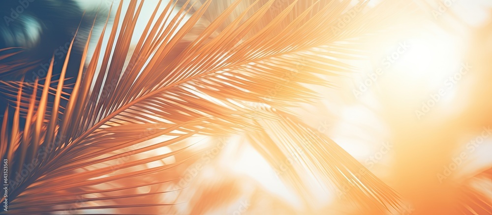 Aufkleber Vintage concept business blog design templates with filtered effect Abstract palm tree in motion against sunlight background dynamic pattern and blurred leaves in the wind