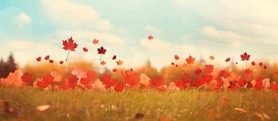 Composite image of leaves on grassy field during autumn symbolizing canada independence day and reflecting concepts of nature celebration freedom and identity