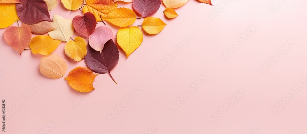 Aufkleber pink studio shoot with heart shaped cutout surrounded by autumn leaves in orange green yellow and br