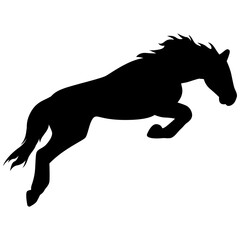 horse racing,horse racer