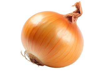 Fresh and organic onion isolated on transparent background in high resolution PNG - obrazy, fototapety, plakaty
