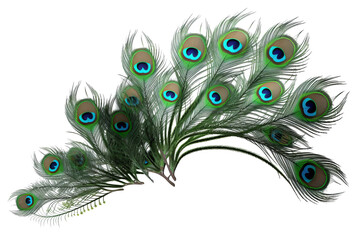 Fototapeta premium Green and white striped leaves of peacock plant with purple underside isolated on transparent background
