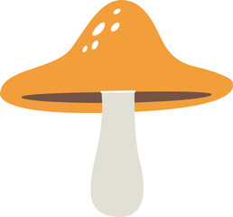 Mushroom Toadstool Plant