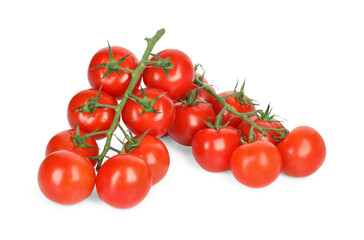 Branches of red ripe cherry tomatoes isolated on white