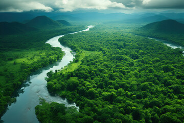 Aerial view of the Amazon rainforest landscape with a river bend and a small canal in the green forest.