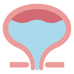 膀胱のイラスト