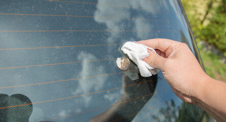 A man cleans bird droppings from a car window with a damp cloth. Copy space for text