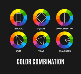 Different Color Circle Palette Combinations Set. Vector illustration of Colour Models and Harmonies Combination of Tones with Scheme - 643548342