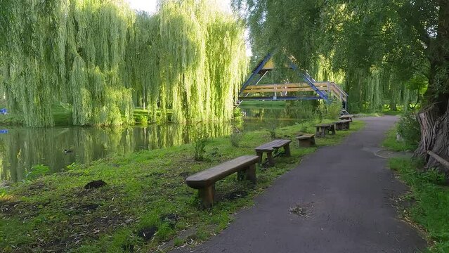 Fresh green view of Seret river. Splendid morning scene of Topilche Park in Ternopil city, Ukraine, Europe. Beauty of nature concept background. 4K video (Ultra High Definition).