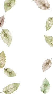 Vertical frame animation made with birch leaves on white background with copy space. Minimal fall season nature aesthetic.