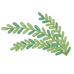 Christmas winter holiday decoration collection