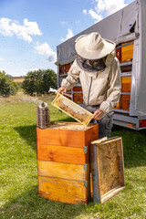 Beekeeper checking honey